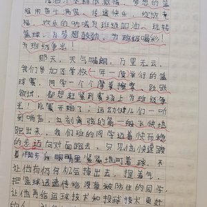 篮球训练的收获感想怎么写作文